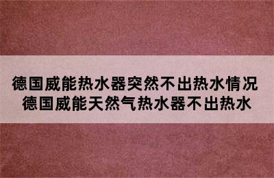 德国威能热水器突然不出热水情况 德国威能天然气热水器不出热水